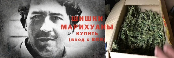 прущий лед Новозыбков