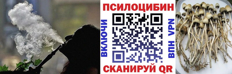 гидра как найти закладки Серафимович Галлюциногенные грибы MAGIC MUSHROOMS